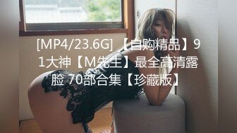 [MP4/23.6G] 【自购精品】91大神【M先生】最全高清露脸 70部合集【珍藏版】