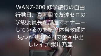 WANZ-600 修学旅行の自由行動日、真面目で友達ゼロの学級委員長が部屋でオナニーしているのを絶倫体育教師に見つかり3泊4日で延々中出しレイプ 栄川乃亜