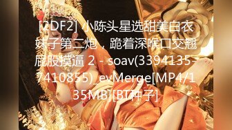 [2DF2] 小陈头星选甜美白衣妹子第二炮，跪着深喉口交翘屁股摸逼 2 - soav(3394135-7410855)_evMerge[MP4/135MB][BT种子]