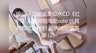 极品小岛国温柔似水CD《红叶》人美屌粗高能solo 玩具超频寸止喷射 前例地狱腺高潮 (2)