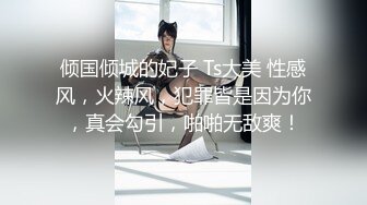 倾国倾城的妃子 Ts大美 性感风，火辣风，犯罪皆是因为你，真会勾引，啪啪无敌爽！