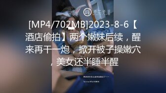 STP29010 麻豆传媒 MDHT-0020《奇淫旅社》宣示主权的性爱游戏