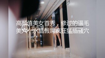 麻豆传媒 MD0123-100公分大长腿的激情玩弄 超模新人叶凡舒