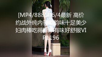 HMDNV-732 【レスで欲求不満】むっつり淫乱性欲ガチ強奥様28歳。担当美容師に浮気ち●ぽをおねだり！連続スプラッシュ生ハメイキ狂い中出しNTR！！