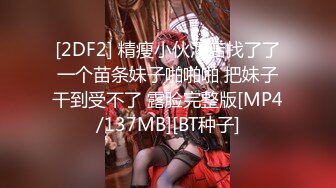 高清无水印珍藏版 高铁女神乘务员和靓丽的女乘客 (2)