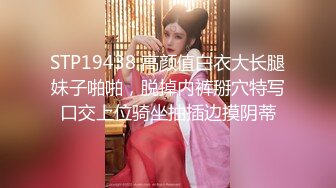 ★☆震撼福利☆★万人求购P站女族性爱专家 极品反差骚妻【静芸】解锁私拍，灵活长舌性感少妇的顶级口交侍奉，啪啪啪全自动榨精机 (16)