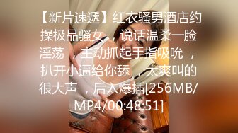 [MP4]风骚小少妇口活近景展示美乳后入啪啪娇喘不断淫荡不堪