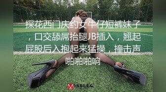 和大屁股女经理厕所偷情