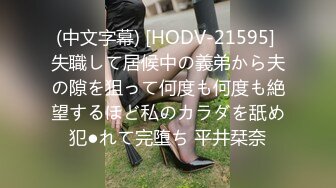 CHN-178我将借给您一个新的绝对美丽的女孩。93MisakiNatsuki（AV女优）24岁。