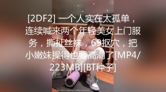 《最新泄密✅反差尤物》推特极品网红巨乳女神【九儿温柔妹妹】688元私人定制4K典藏、OOXX口爆，相当诱人 (1)