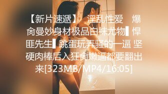 那个受欢迎的女播音员型美乳美女回来了