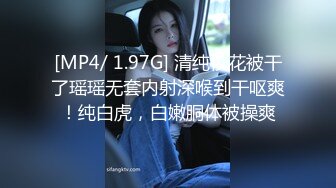 气质御姐有说有笑鬼哭狼嚎爆操 被老李内射要赔钱