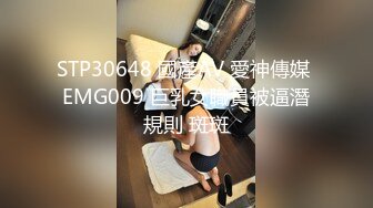 究极绿帽癖刷锅男【szfg91飞哥】推特福利，换妻行动，线下狂约实力单男群P骚妻，他坐在一旁欣赏