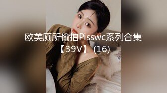 欧美厕所偷拍Pisswc系列合集【39V】 (16)