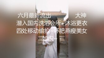 [2DF2]退役空姐，大长腿美乳，风情万种，诱人大胸，姿势繁多创新 - soav_evMerge [MP4/188MB][BT种子]