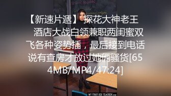 女上后入