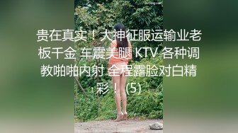 贵在真实！大神征服运输业老板千金 车震美腿 KTV 各种调教啪啪内射 全程露脸对白精彩！ (5)