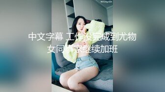 MDC-EX-03.夏晴子.楚梦舒.岚湘庭.女优万事屋.EP3.来自大自然的委托.比基尼净滩.夜市索食大作战.麻豆映画传媒