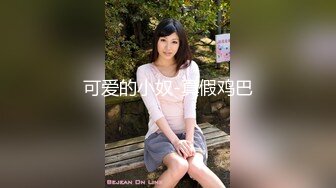 下流疗愈 上流人妻的服务