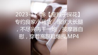 2024年4月【重磅核弹】查小理新收纳的颜值母狗【桃桃丸子】VIP福利，各种露出屌爆了，强烈推荐