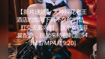 (果凍傳媒)(91pcm-004)(20231112)性慾狂野的人妻-季妍希