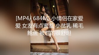 STP23379 辛苦凌晨战骚女 现金支付数完钱开操 花臂纹身骑上来自己动 打桩机操的屁股抖动起来