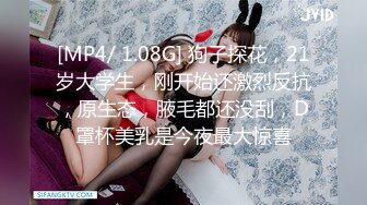 极具韵味的丝袜巨乳少妇，轻熟女 满足你所有的想象，黑丝、宽衣解带、足交、手撸，揉搓乳房，轻奢娇喘