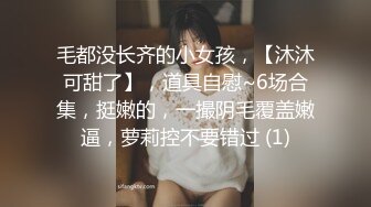 母狗少妇2