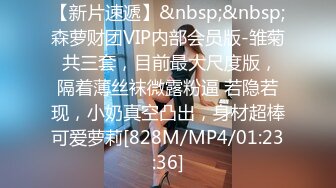 STP32116 星空无限传媒 XKG193 大鸡巴市长狠操女副局长的淫洞 张雅婷(小捷)