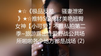 IPZ-370 结婚纪念日被强奸戴上贞操带的人妻 为了老公默默忍受终于被插到堕落 RIO[中字高清](BVPP無碼破解)