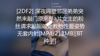 惩罚小母狗