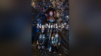 NeiNei1-3