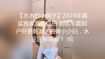 文静反差婊大三学生 文静外婊[150P+8V/111M]