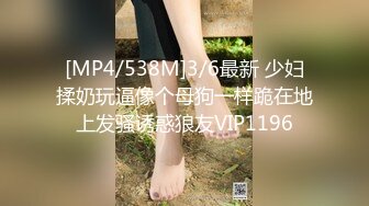 (HD720P)(Mywife)(No1184)広仲 梨沙 蒼い再会