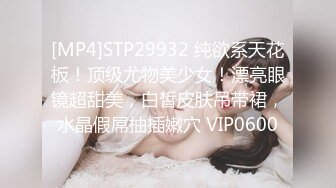 [MP4]STP26731 精东影业 JDYP-016《桃色家政》小伙看到风韵少妇受不了了-KK VIP0600